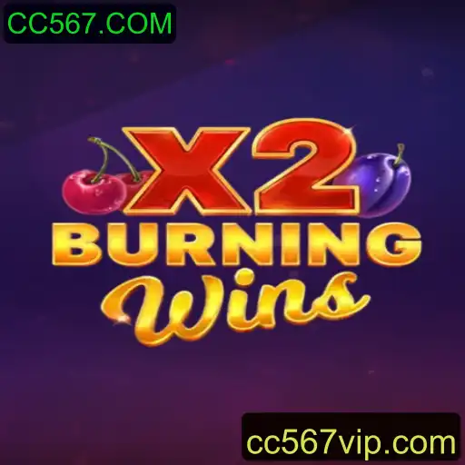 Explorando o Mundo de BurningWinsX2: Um Guia Completo